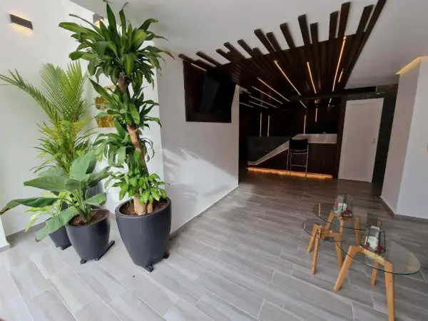 Hotel GALENO Main image
