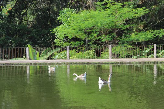Tour image 6