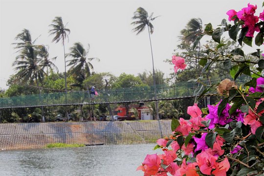 Tour image 8