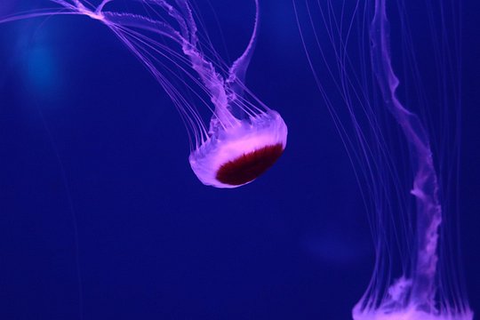 Tour image 11