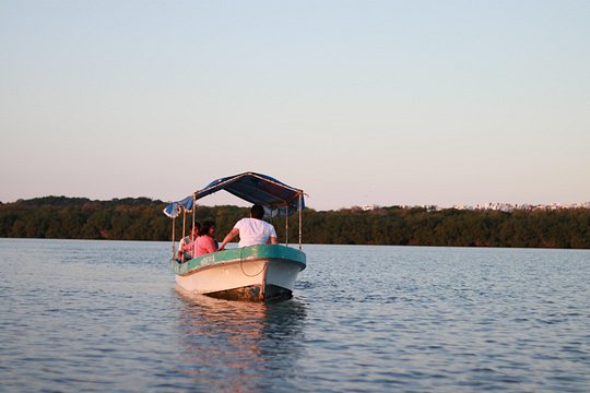 Tour image 10